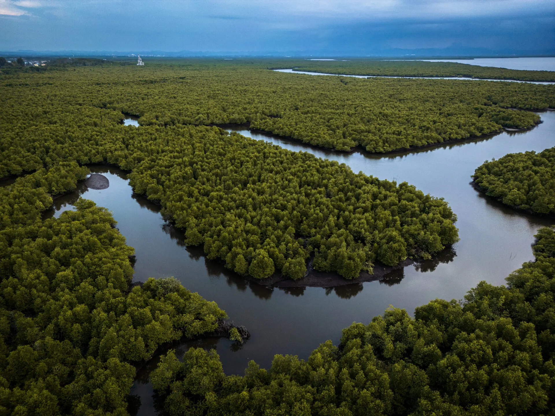 This Indigenous tribe fights for Indonesia’s vanishing forests